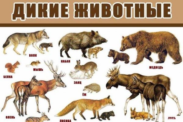 Нарко маркетплейсы